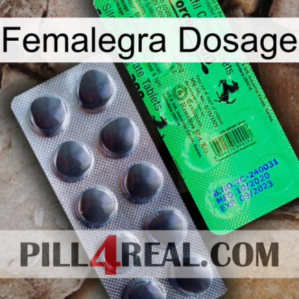 Femalegra Dosage new04